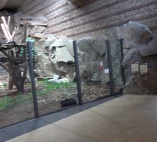 Regenwaldhaus