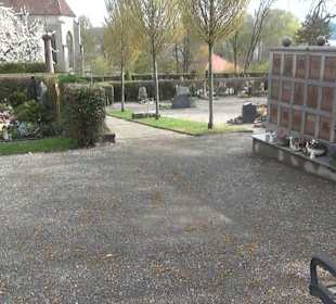 Friedhof Mittelzell