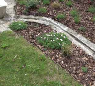 Dorfbrunnen Unteriflingen