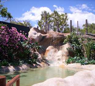 Dinopark