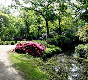 Spaziergang durch den Rhododendronpark im Mai
