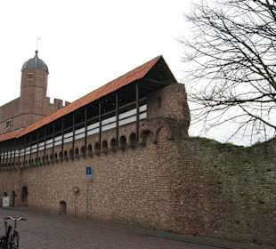 Muurtoren met Pelserpoort