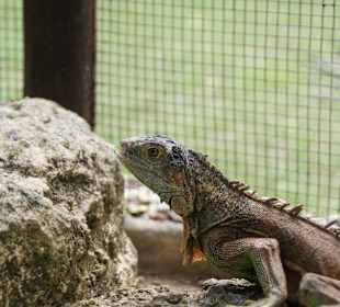 Nature Complete Tour 