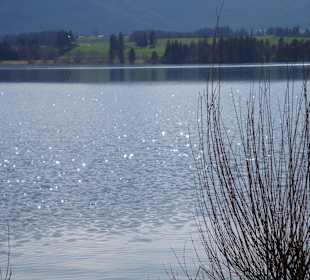 Hopfensee