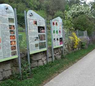 Naturinfopfad Weggental