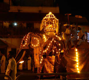 Kandy Perahera