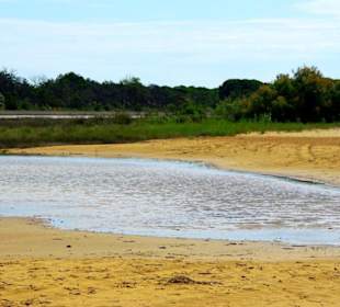 Strand Bibione 06_2011
