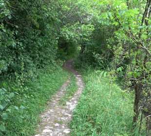 Wanderweg Ammerbucher Gigeleswegle