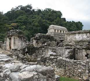 Kompleks Palenque