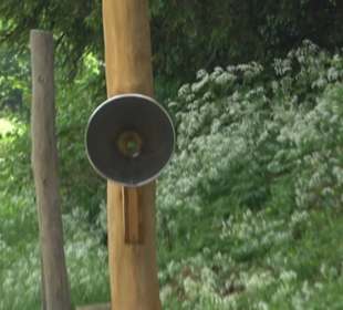 Phäno-Pfad Aichstetten