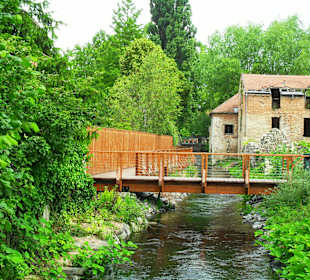Weg zum Mühlenteich
