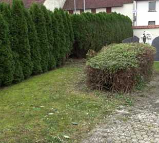 Friedhof Zwiefaltendorf