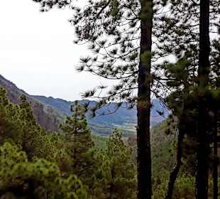 Traumhafte Landschaft