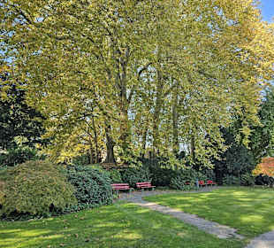 Stadtgarten