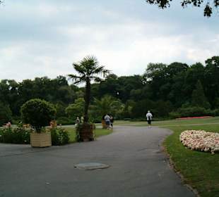 Alejka w parku lazienkowskim