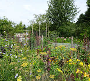 Eindrücke vom Rundgang durch den Park der Gärten