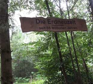 Dinosaurier Museum Altmühltal