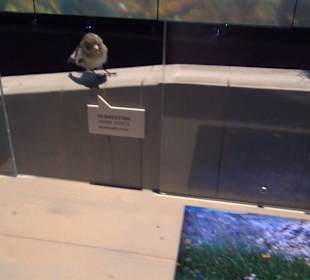 Nationalparkzentrum Haus der Berge