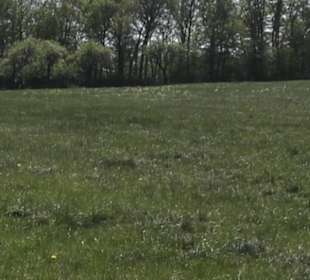 Hochgehsiedelt am Heidengraben