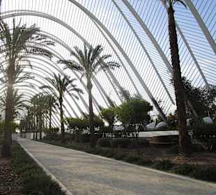 Museum der Wissenschaften