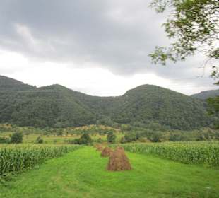 Valea Oltului / Olt-Tal 