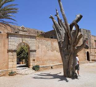 Drzewo na dziedzincu z kulą