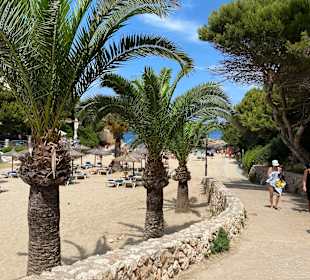 Strand Cala d'Or