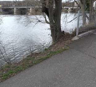 Hölderlin Brunnen und Gedenktafel
