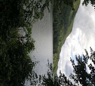 Der See