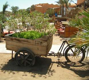 Downtown beim Karaoke Cafe Palma