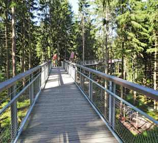 Auf dem Baumwipfelpfad Heide Himmel
