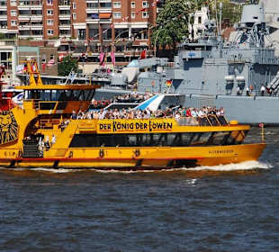 Hafengeburtstag 2008