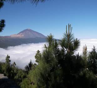 Teide
