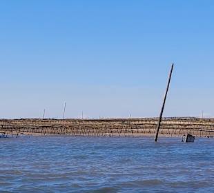 Bootstour Ria Formosa