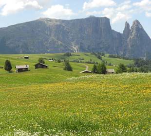 Auf der Seiser Alm, Blick zum Schlern