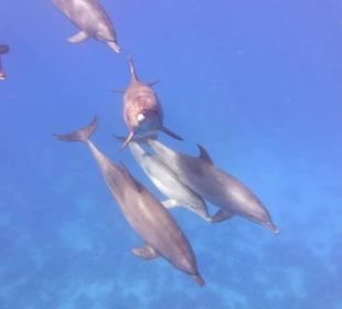 Mit Baby ca. 7 Tage alt