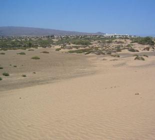 Dünen in Maspalomas bei Meloneras
