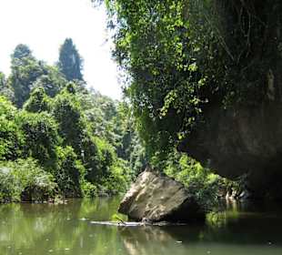 Fahrt im Kajak auf dem Khao Sok River