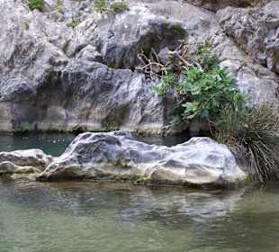 Preveli