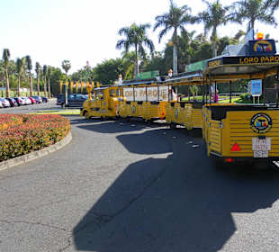 Loro Parque Bimmelbahn