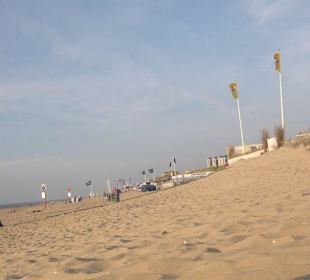 Strand von Zandvoort,