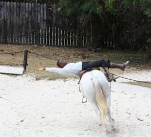 Manati Park
