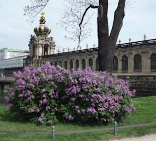 Von einer Grünanlage umgeben