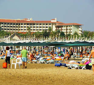 Inspirationen an d.Strandprom.entlang Nov.2010