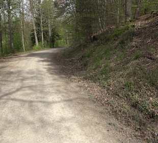 Walderlebnisweg Rottenburg