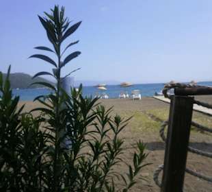 Strandblick