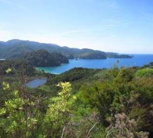 Auf dem Coastal Track im Abel Tasman