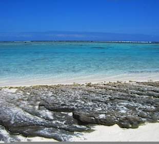 Escursione alle isole