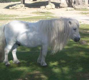 Zoo Liberec