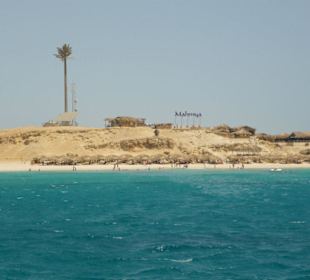 Schnorcheltrip - Insel